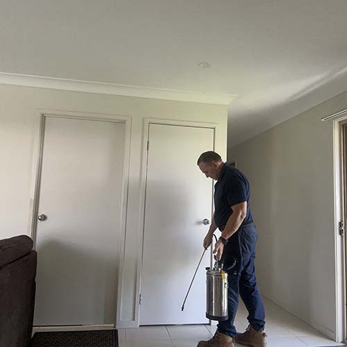 TERMITE ERADICATION SERVICES ACROSS CABOOLTURE