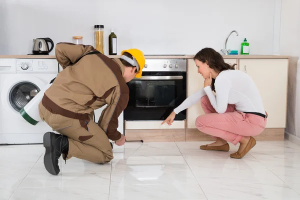 Eco-Friendly Pest Control Morayfield